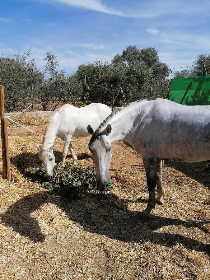 Villa Los Arcos Málaga Сasa de vacaciones